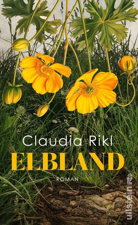 Titelbild für: Claudia Rikl: Elbland